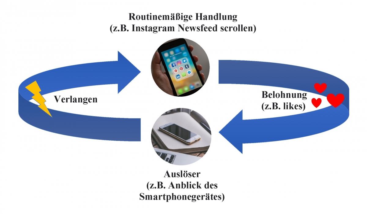 Bild 2: Die Gewohnheitsschleife Bild 2: Die Gewohnheitsschleife