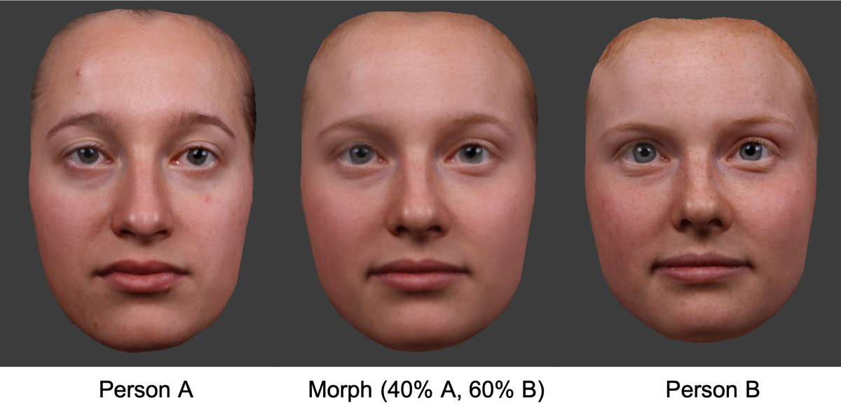 Bild 1: Beispielhafte Illustration eines eigenen Gesichts (links, Person A, Alter 20 Jahre) und eines unbekannten Gesichts desselben Geschlechts und vergleichbaren Alters (rechts; Person B, Alter 21 Jahre), und eines Morphs zwischen diesen beiden Gesichtern (Mitte), der in diesem Beispiel 40 % von Person A und 60 % von Person B enthält. Bild 1: Beispielhafte Illustration eines eigenen Gesichts (links, Person A, Alter 20 Jahre) und eines unbekannten Gesichts desselben Geschlechts und vergleichbaren Alters (rechts; Person B, Alter 21 Jahre), und eines Morphs zwischen diesen beiden Gesichtern (Mitte), der in diesem Beispiel 40 % von Person A und 60 % von Person B enthält.