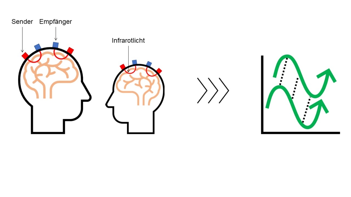 Bild 2: Schematische Darstellung des fNIRS Messprinzips. Links: Sender (rote Box) auf der Kopfoberfläche strahlen Infrarotlicht (rote Linien) aus, welches innerhalb der äußersten Schichten des Gehirns reflektiert wird und anschließend wieder zurück an die Kopfoberfläche und Empfänger (blaue Box) gelangt. Rechts: Aus dem Muster des empfangenen Infrarotlichts wird die Zu- und Abnahme der Gehirnaktivität (grüne Linien) vom Elternteil und des Kindes ermittelt und in ein Maß der wechselseitigen Anpassung der Gehirnaktivität (gestrichelte schwarze Linien) umgerechnet. Bild 2: Schematische Darstellung des fNIRS Messprinzips. Links: Sender (rote Box) auf der Kopfoberfläche strahlen Infrarotlicht (rote Linien) aus, welches innerhalb der äußersten Schichten des Gehirns reflektiert wird und anschließend wieder zurück an die Kopfoberfläche und Empfänger (blaue Box) gelangt. Rechts: Aus dem Muster des empfangenen Infrarotlichts wird die Zu- und Abnahme der Gehirnaktivität (grüne Linien) vom Elternteil und des Kindes ermittelt und in ein Maß der wechselseitigen Anpassung der Gehirnaktivität (gestrichelte schwarze Linien) umgerechnet.