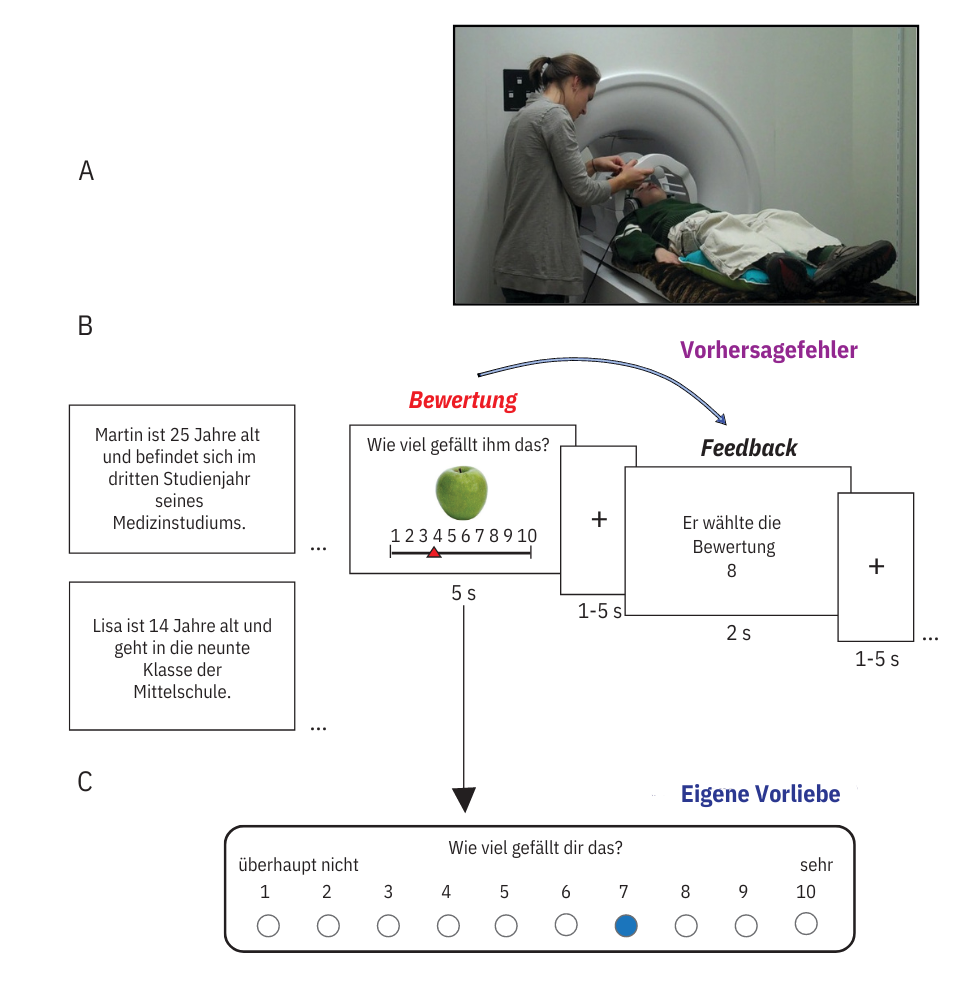 Bild 2: Studiendesign: Jugendliche und Erwachsene bewerten Vorlieben im MRT-Scanner
