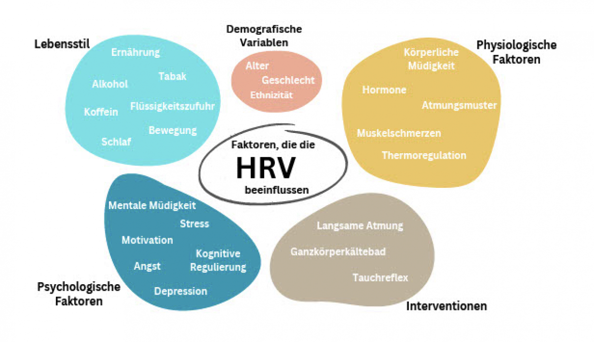 Abbildung 2 Abbildung 2