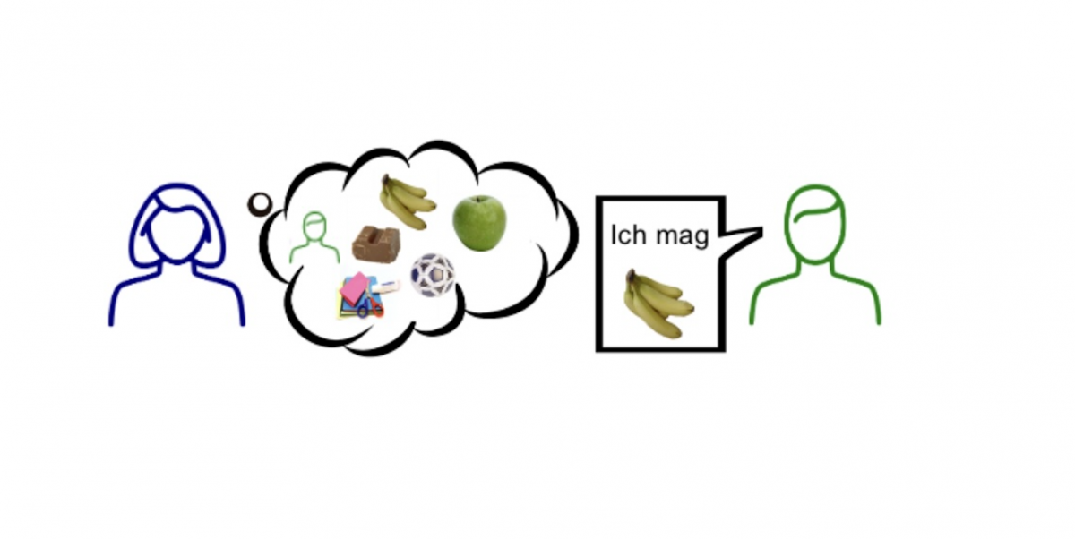 Bild 1: Vorlieben und Feedback