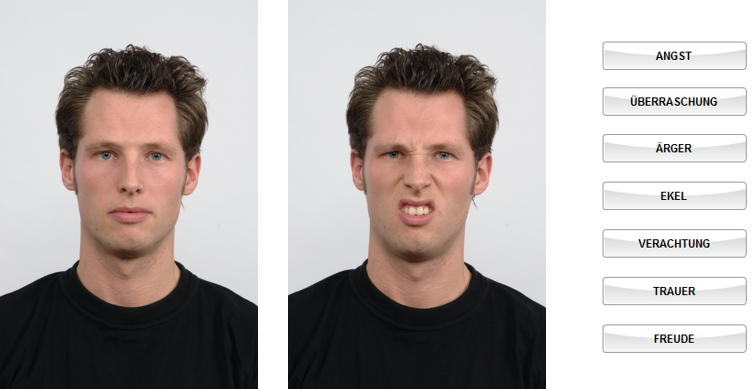 Bild:Testbeispiel des MIDECT; Lösung: Ekel. Bild: Entnommen von Langner et al (2010).http://www.socsci.ru.nl:8180/RaFD2/RaFD?p=main