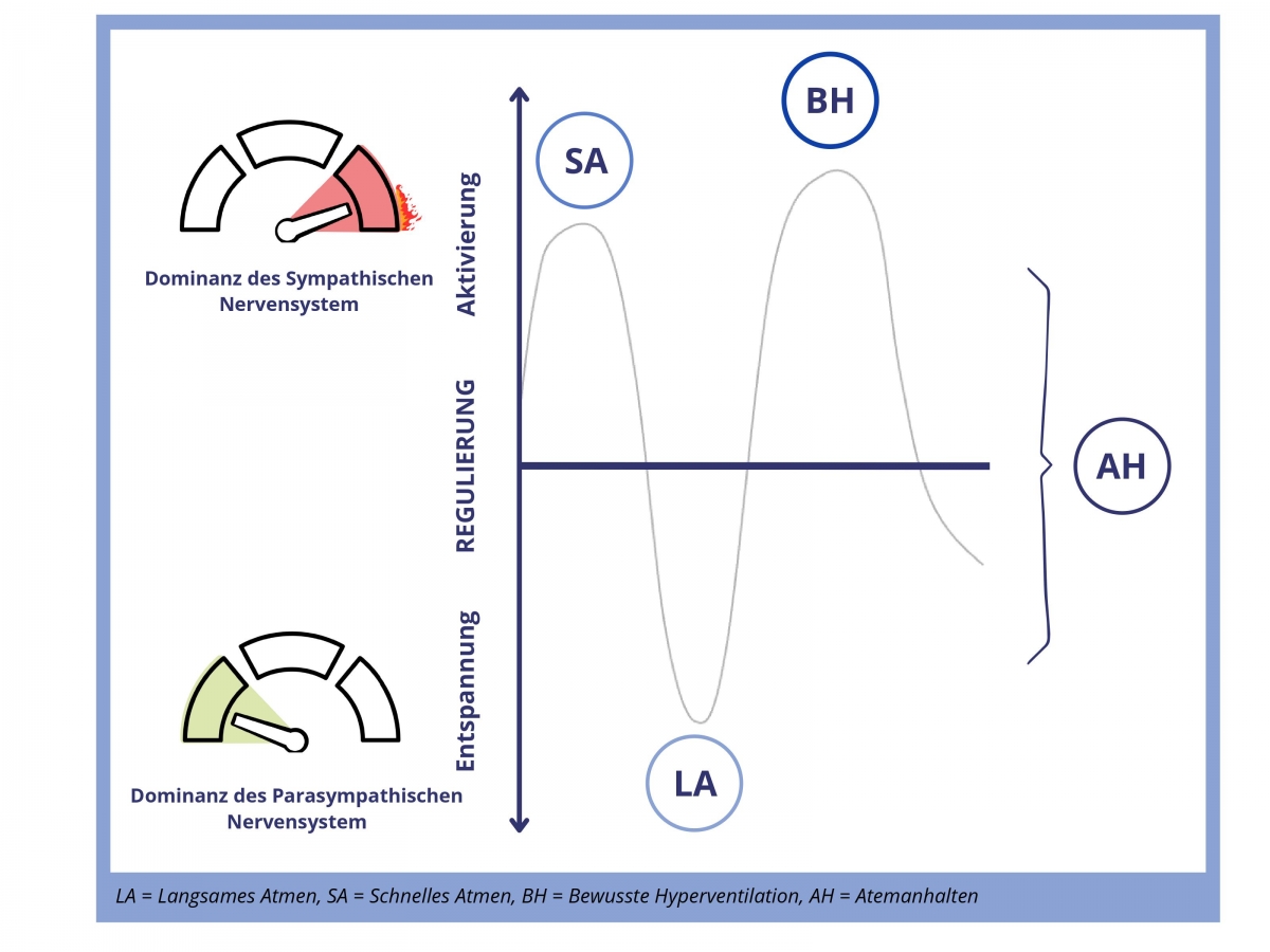 Bild 2: Techniken zur willentlichen Atemregulierung gemäß des primären autonomen Regulationsmechanismus