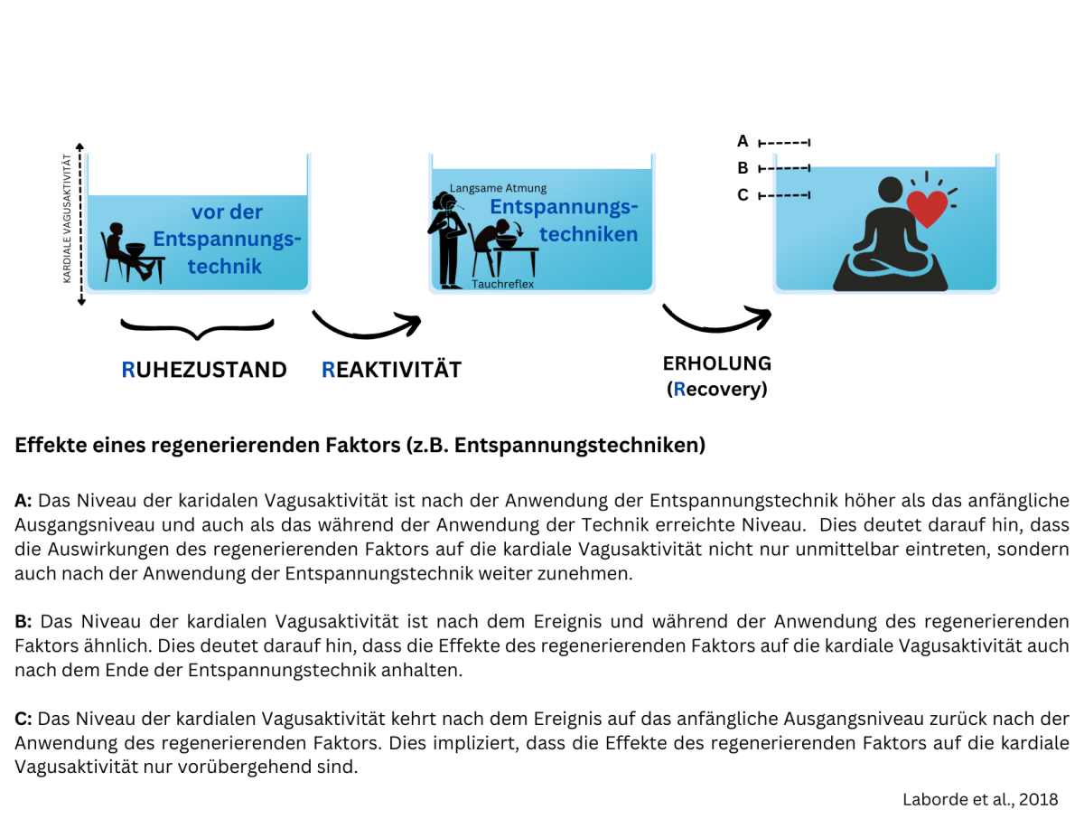 Abbildung 3b Abbildung 3b