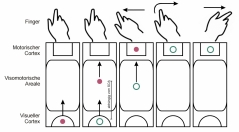 Abb. 4: Schematische Darstellung der